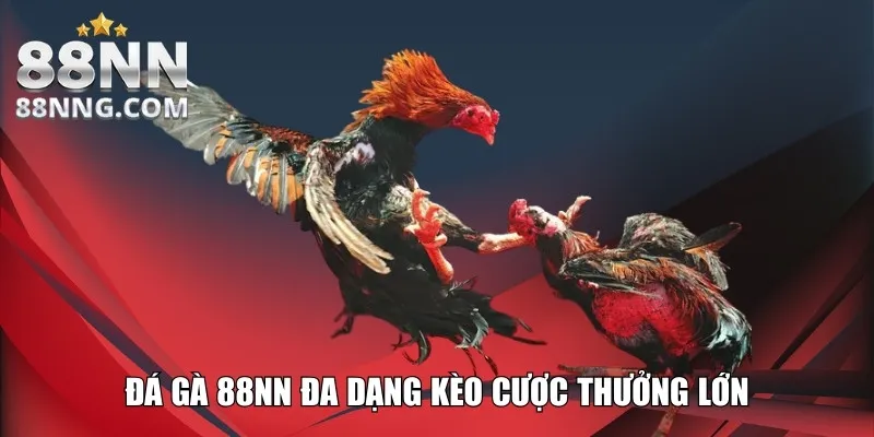 Đá gà 88NN đa dạng kèo cược thưởng lớn