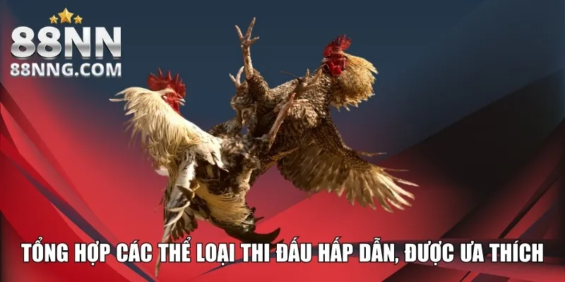 Tổng hợp các thể loại thi đấu hấp dẫn, được ưa thích